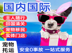 营口兰旗航空邮寄国际宠物托运 【国